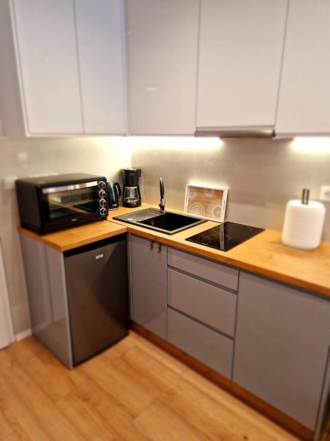 Apartament Przy Deptaku Jelenia Gora Dış mekan fotoğraf
